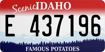 ID license plate E437196