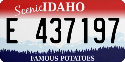 ID license plate E437197