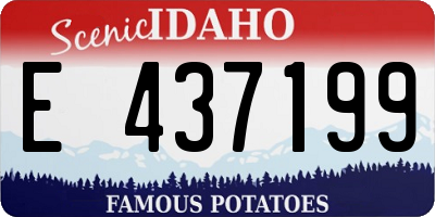 ID license plate E437199