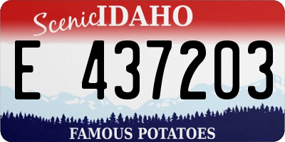 ID license plate E437203