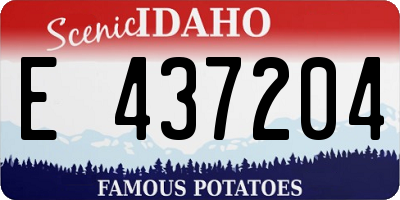 ID license plate E437204