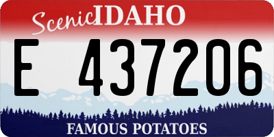 ID license plate E437206