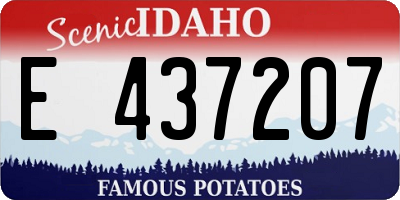ID license plate E437207
