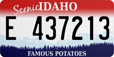 ID license plate E437213