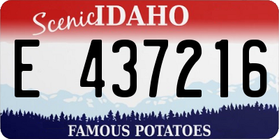 ID license plate E437216
