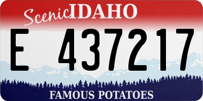 ID license plate E437217