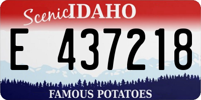 ID license plate E437218