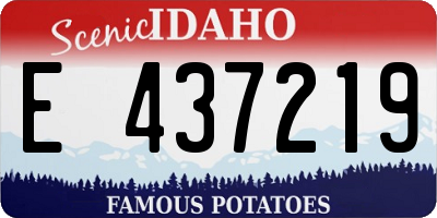 ID license plate E437219