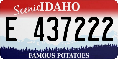 ID license plate E437222