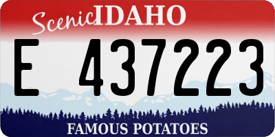ID license plate E437223