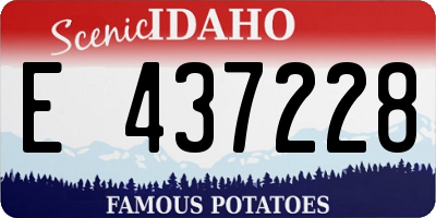 ID license plate E437228