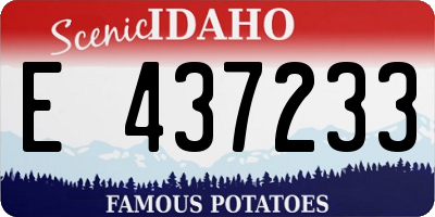 ID license plate E437233