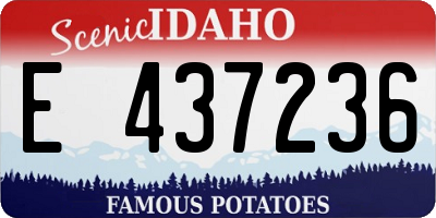 ID license plate E437236