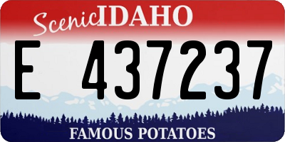 ID license plate E437237