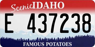ID license plate E437238