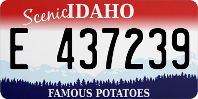 ID license plate E437239
