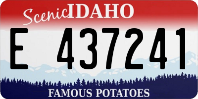ID license plate E437241