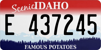 ID license plate E437245