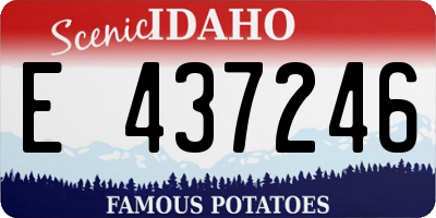 ID license plate E437246