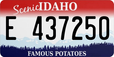 ID license plate E437250