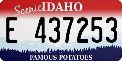 ID license plate E437253