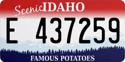 ID license plate E437259