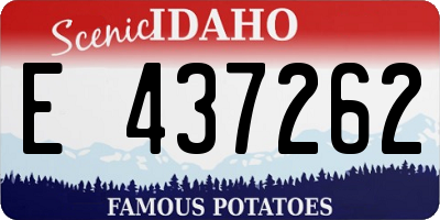 ID license plate E437262