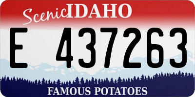 ID license plate E437263