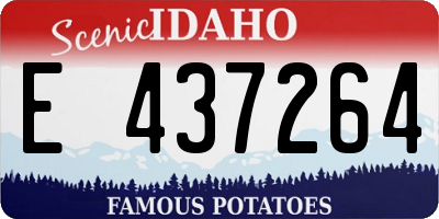 ID license plate E437264