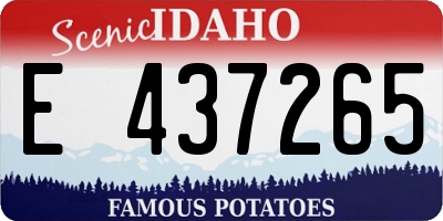 ID license plate E437265
