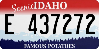 ID license plate E437272