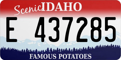 ID license plate E437285