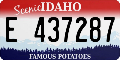 ID license plate E437287