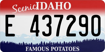 ID license plate E437290