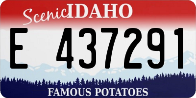 ID license plate E437291
