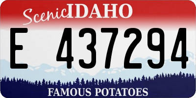 ID license plate E437294
