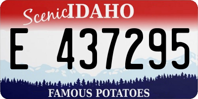 ID license plate E437295