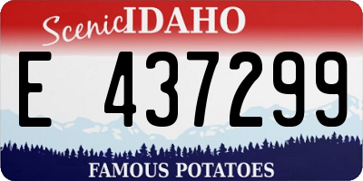 ID license plate E437299