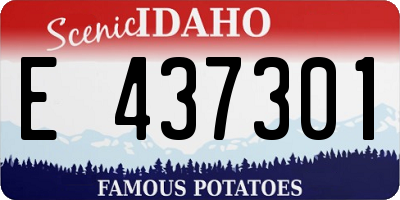 ID license plate E437301
