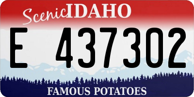 ID license plate E437302