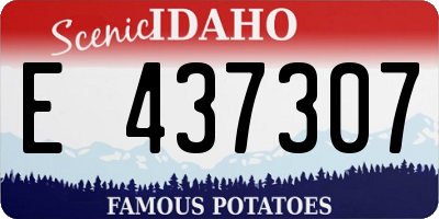 ID license plate E437307