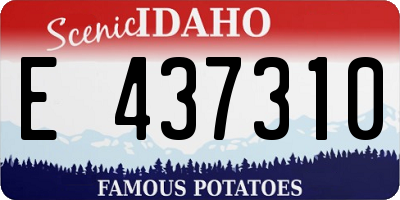 ID license plate E437310