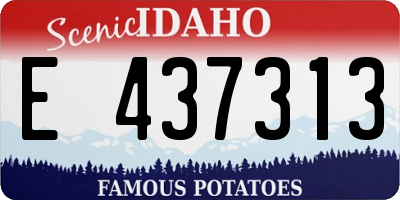 ID license plate E437313