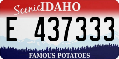 ID license plate E437333