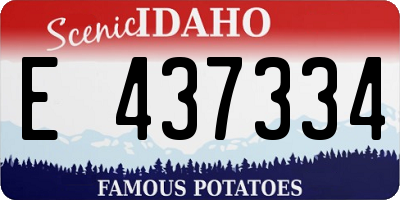 ID license plate E437334