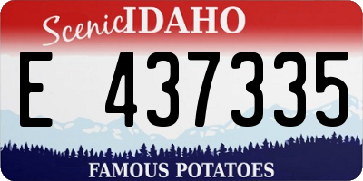 ID license plate E437335