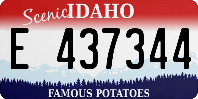 ID license plate E437344