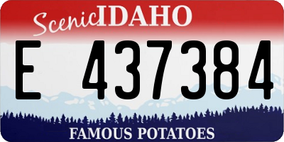 ID license plate E437384