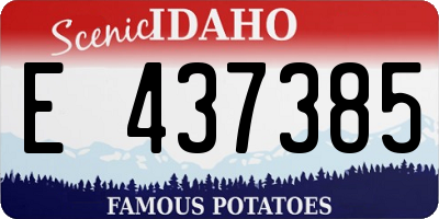 ID license plate E437385