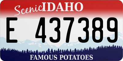 ID license plate E437389